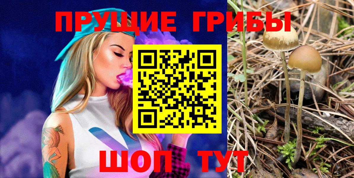 Псилоцибиновые грибы ЛСД Сыктывкар
