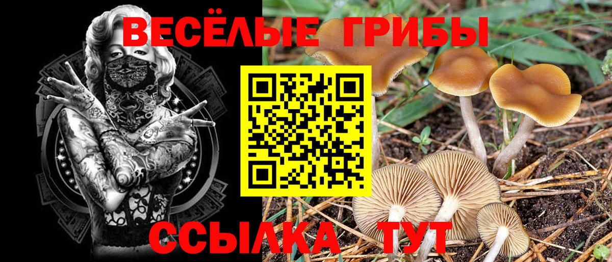 Галлюциногенные грибы мицелий  Псилоцибиновые грибы GOLDEN TEACHER  Вход с VPN  Сыктывкар 